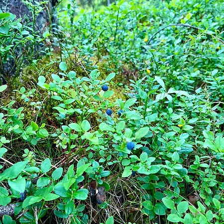 Fjord-holiday-lodge Mit Atemberaubendem Panorama Afarnes