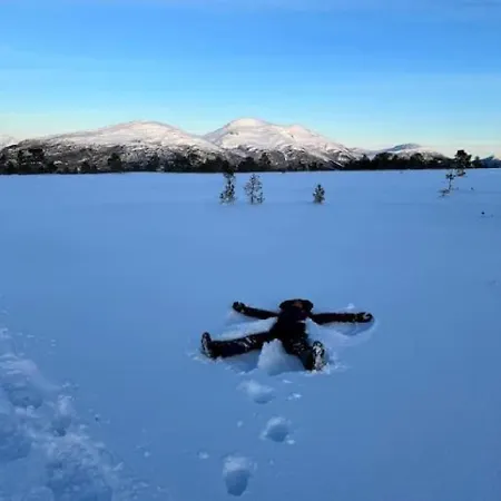 בית נופש Fjord-holiday-lodge Mit Atemberaubendem Panorama *
