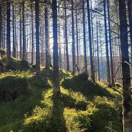 Fjord-holiday-lodge Mit Atemberaubendem Panorama