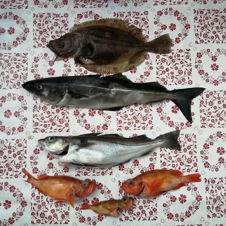 Fjord-holiday-lodge Mit Atemberaubendem Panorama Afarnes