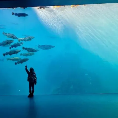 בית נופש Fjord-holiday-lodge Mit Atemberaubendem Panorama