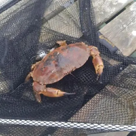 Casa de Férias Fjord-holiday-lodge Mit Atemberaubendem Panorama Afarnes