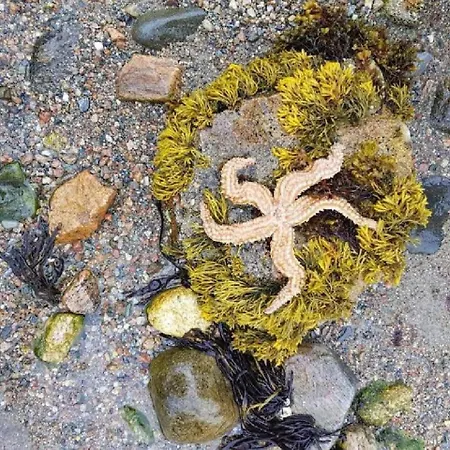 בית נופש Fjord-holiday-lodge Mit Atemberaubendem Panorama *